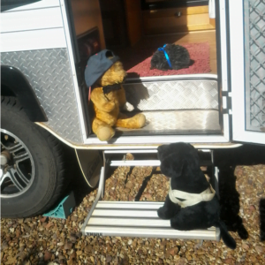 Edward and Tuesday are looking at each other on the steps of a camper van.