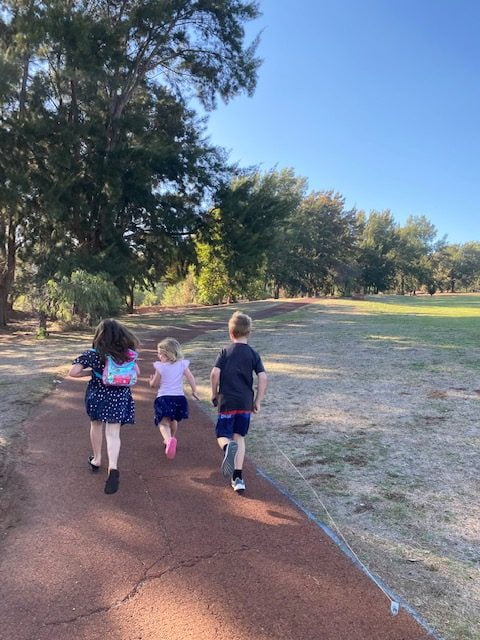 Backs of three children walking away into a forested area.